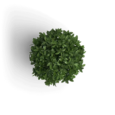 object_plant_1